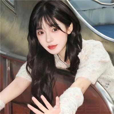 圣诞王子：皇家婚礼